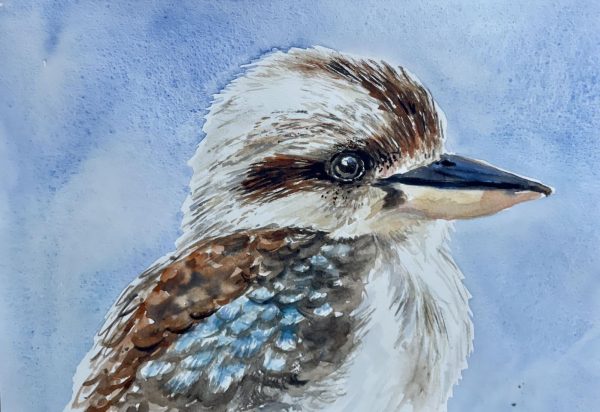Kookaburra painting